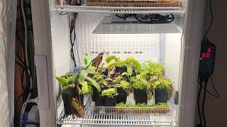 how to create the perfect highland/ultra highland nepenthes grow chamber