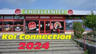 Koi Connection 2024. Zwei riesige Angelfachgeschäfte und 500 Quadratmeter Koi!