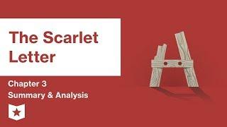The Scarlet Letter  | Chapter 3 Summary and Analysis | Nathaniel Hawthorne