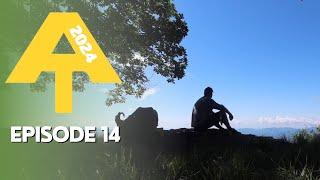 Appalachian Trail 2024 - I Thought About Quitting this Week