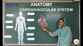 Cardiovascular System | Medical Coding Malayalam Tutorials | Anatomy | Indus Education