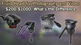 Fluid Heads, $200-$1000, How Much Does Money Matter