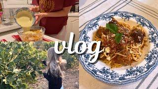 an ordinary day at my fig farm and cooking cozy meals   | Greek vlog |