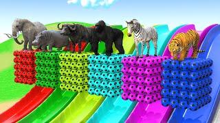 5 Giant Duck Game With Elephant Cow Lion Gorilla 3d Animal Game Funny 3d Animals Cage Game