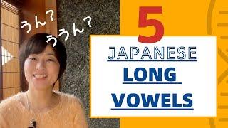 Japanese Long Vowels with Pitch ーうん-ううん／いね-いいね／おばさん-おばあさん