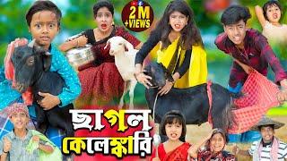 ছাগল কেলেঙ্কারি | Chagol Kelankari || No 1 Gramin TV Latest Bangla Funny  natok 2024 indian |