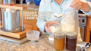 How to Start A Yogurt Culture At Home From Scratch: Thermophilic Culture | Tips on making Clabber