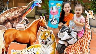 Animals in Changcady's zoo, chickens, horses, tigers, feeding dinosaurs - Part 283