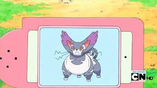 Purugly Pokédex Entry..wmv