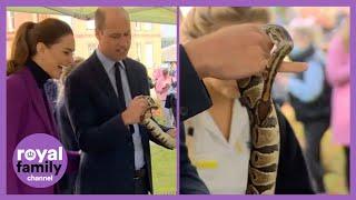 William Holds Snake, Saying George Will Be 'So Upset'