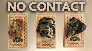 NO CONTACT! FEELINGS, ACTIONS, FUTURE, ADVICE.  PICK A CARD TIMELESS TAROT READING