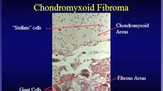 Miller's Orthopaedic Lectures: Pathology 2