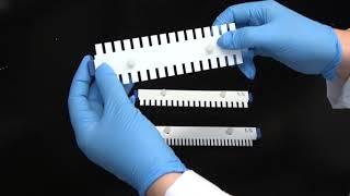 Agarose Gel Electrophoresis Tip #3: Increase Resolution of DNA Bands