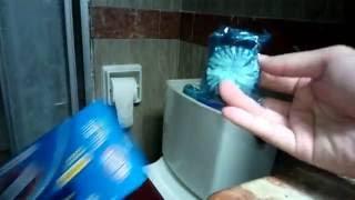 Clorox Tru Blu Automatic Toilet Bowl Cleaner: Putting into the Toilet Bowl