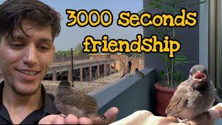 Bulbul Ka Bacha | Act of kindness | 3000 Seconds Friendship with Nightingale Baby | Happy Ending