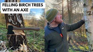 Growing Trees, Felling Trees - A Woodland through Time