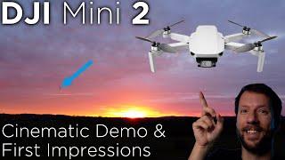 DJI Mini 2 - Cinematic Demo & First Impressions!