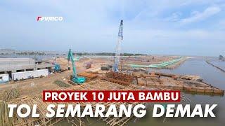 PROYEK 10 JUTA BAMBU TOL SEMARANG DEMAK | TOL TANGGUL LAUT MATRAS BAMBU VIDEO DRONE