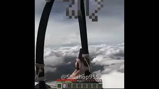 Minecraft Elytra 