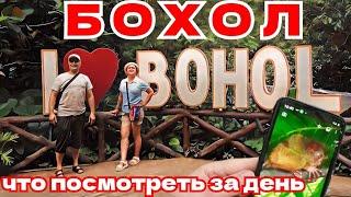 Филиппины, Бохол - едем смотреть долгопятов и шоколадные холмы / Что здесь можно увидеть за день?