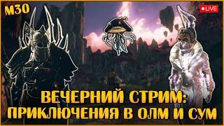 Приключения в ОЛМ и СУМ   Neverwinter Online  M30