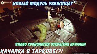 Escape From Tarkov | Вайп 13.0 | Новый модуль убежище(КАЧАЛКА)