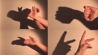 How To Make Shadow Puppets With Your Hand