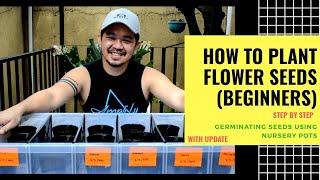 How to Plant Flower Seeds Using Nursery Pots (Step-by-Step) | Beginners (Episode 1)