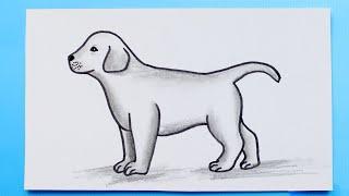 DOG Drawing 