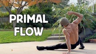 PRIMAL FLOW Unleashed | 30 Minute FULL BODY Workout!