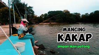 MANCING IKAN KAKAP UMPAN IKAN POTONG