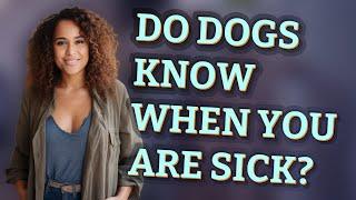 Do dogs know when you are sick?