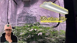 Unboxing the Electric Sky ES300 LED by The Green Sunshine Company