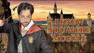 I Knew You Were Muggle (Taylor Swift Parody) | Young Jeffrey's Song of the Week