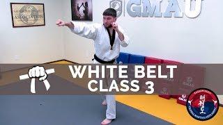 Taekwondo Follow Along Class - White Belt - Class #3