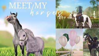 Meet My Horses || SSO RRP