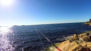 Lure fishing for Mackerel and Pollock in north wales - Llyn peninsula