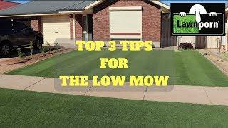 TOP 3 TIPS FOR THE LOW-MOW