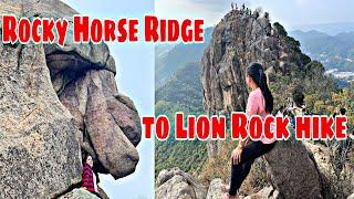 Guide Hike to Rocky Horse Ridge To Lion Rock Trail | HONGKONG