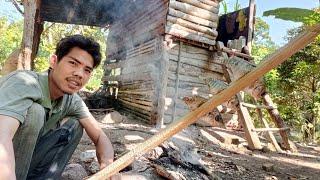 Stay overnight in jungle hut || grilled fish for cat