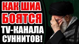 Ученые шиа дрожат как заячий хвост от TV-каналов Ахлю-сунна! Ученые шиа боятся их как Огня  ))))