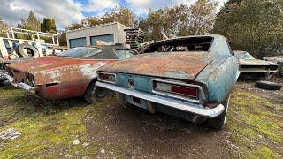 The BLACKBERRY Camaro: The Good, The Bad, & The Rusty #musclecar #1967camaro #camaro