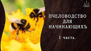 Встречи с интересными людьми. Пчеловодство для начинающих.1 часть.