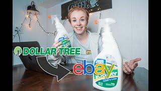 I Tried Flipping Dollar Tree Items on Ebay | Retail Arbitrage 2020 (BEGINNER)