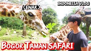 LAKI-LAKI KOREA di TAMAN SAFARI  | Safari yang tidak bisa dialami di Korea