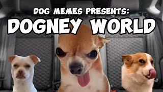 DOG MEMES: TO DOGNEY WORLD PT.1