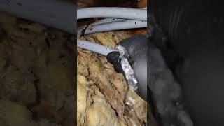 pex line rupture under a VERY WET mobile home #water #pipe #plumbing #flooding