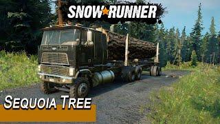 SnowRunner  Transporting a Sequoia Tree With Ford Thrustmaster