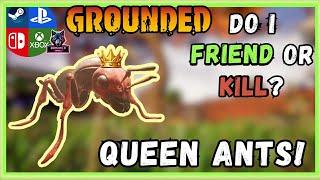 Grounded: Ant Queen Guide, Should You Friend Or Kill?