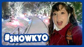 SNOW IN TOKYO?! | MIRACLE In Japan | #SNOWKYO ️